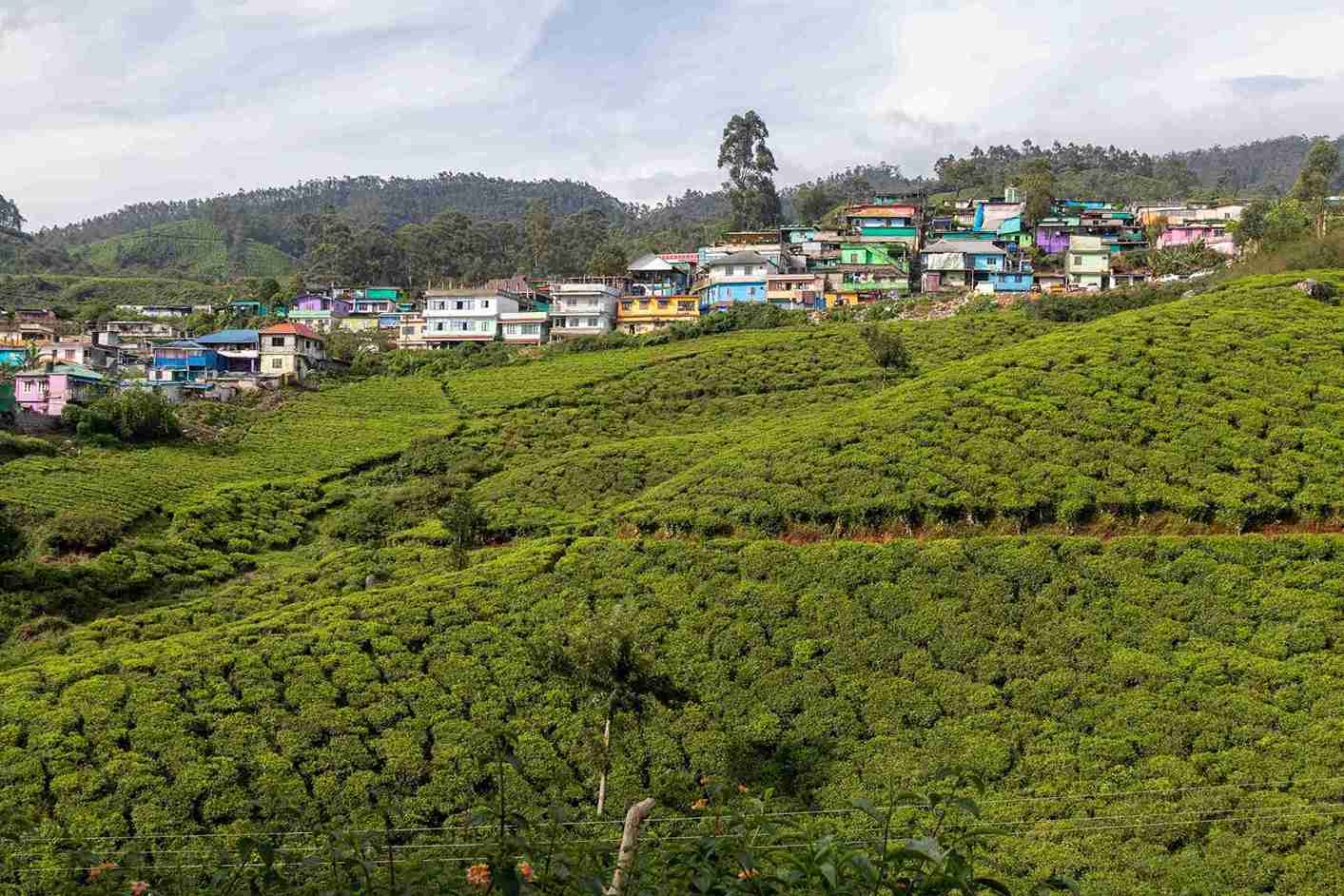 Top 10 Hill Stations in South India for a Cool Escape