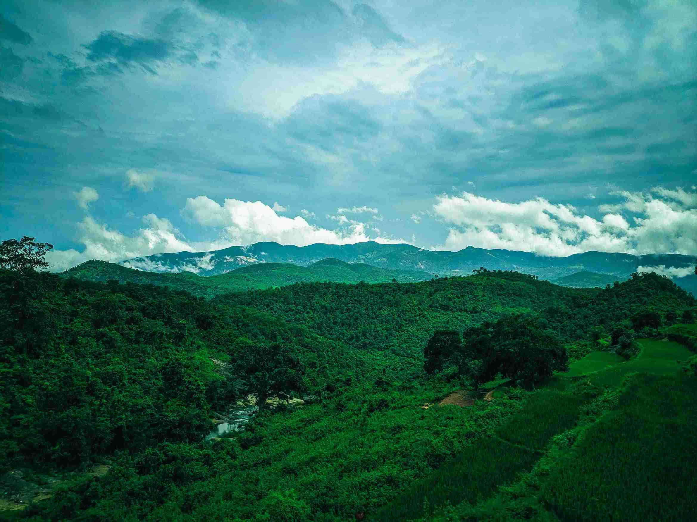Araku Best Time to Visit: Your Easy Guide to a Dreamy Trip